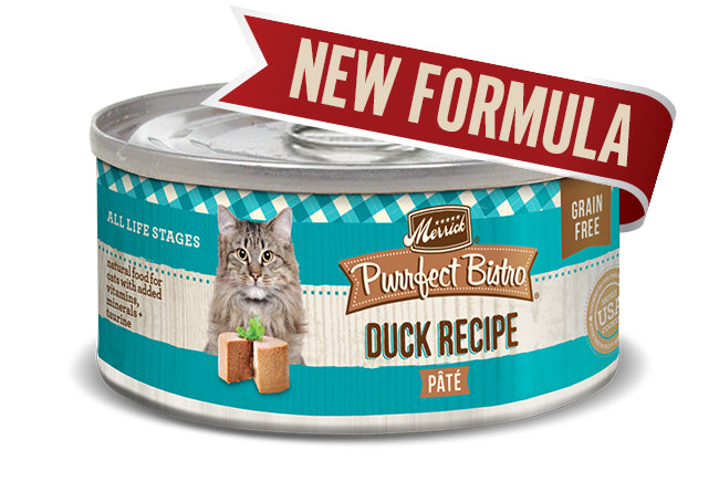 !PBSTRO C GF PATE DCK 5.5OZ