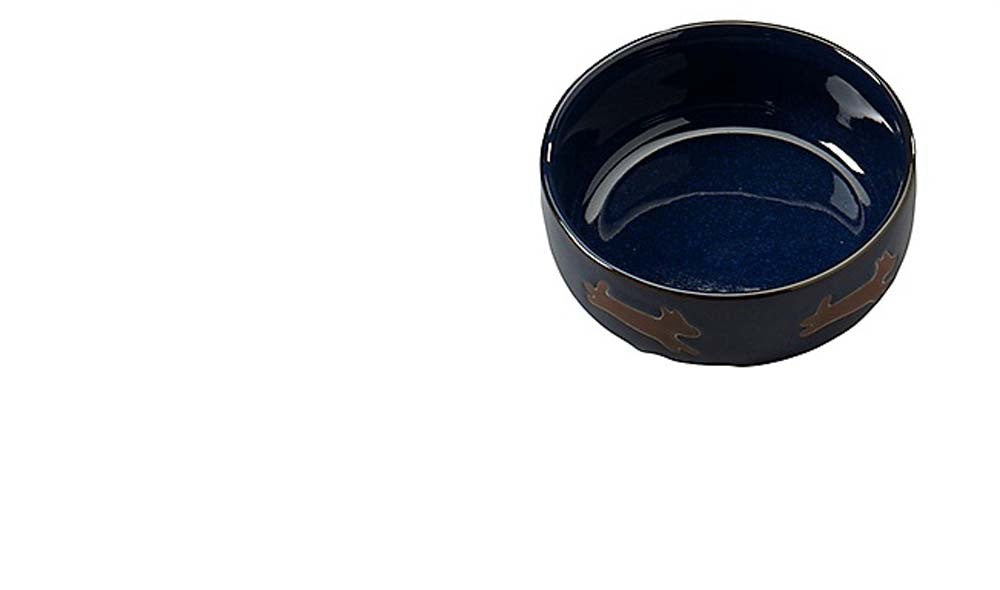 Spot Southwest Dog Bowl Midnight Sky 5in