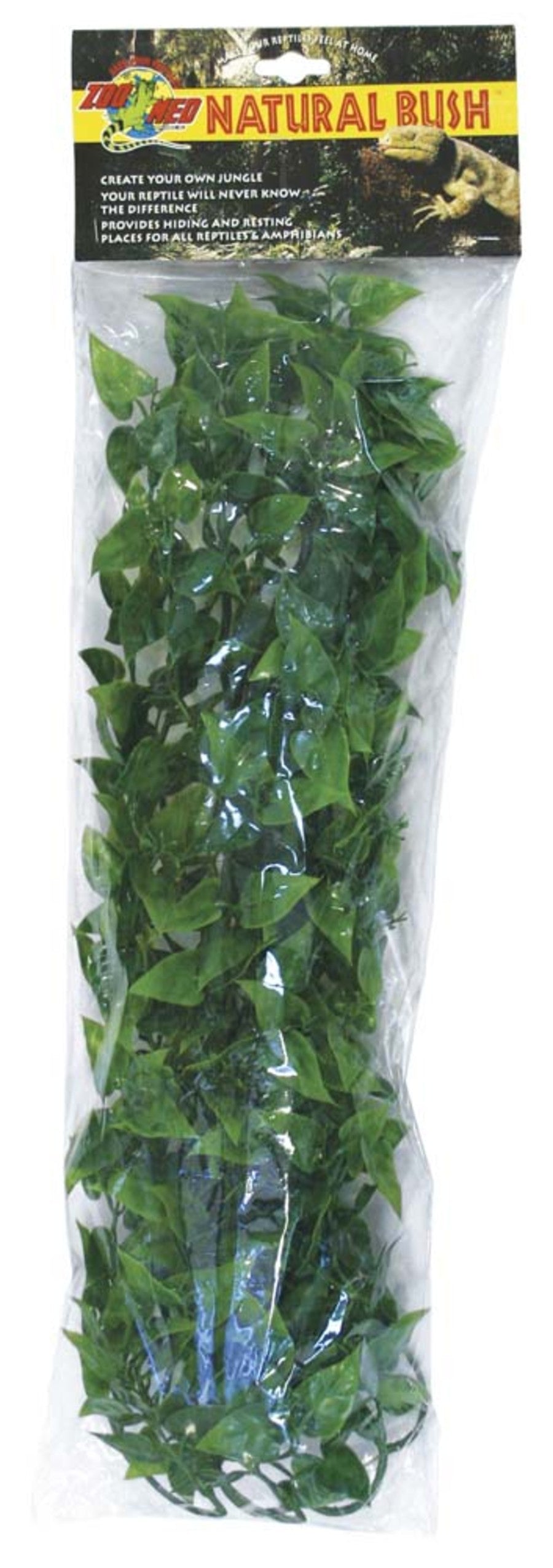 Zoo Med Natural Bush Plants Mexican Phyllo Large