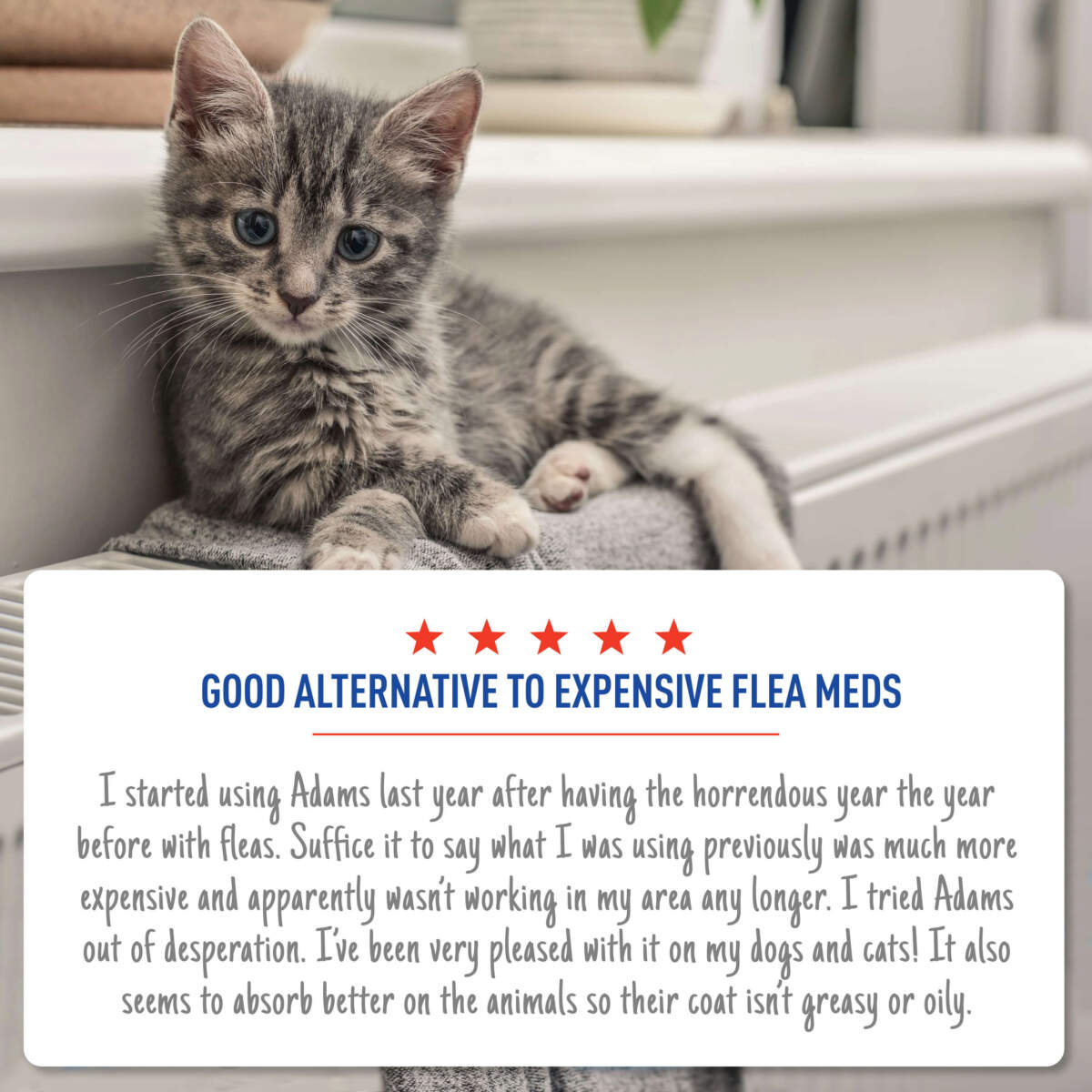 Adams Plus Flea & Tick Spot On for Cats & Kittens 1ea/Over 2.5 Lbs But Under 5 lb - All Pet Super Store