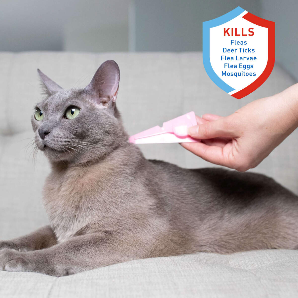 Adams Plus Flea & Tick Spot On for Cats Greater Than 5lbs 3 Month