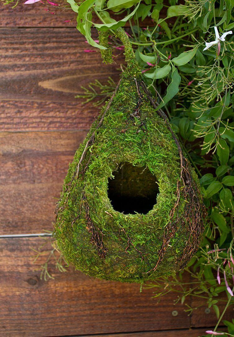 Galapagos Raindrop Deco Birdhouse Fresh Green 6inX10in