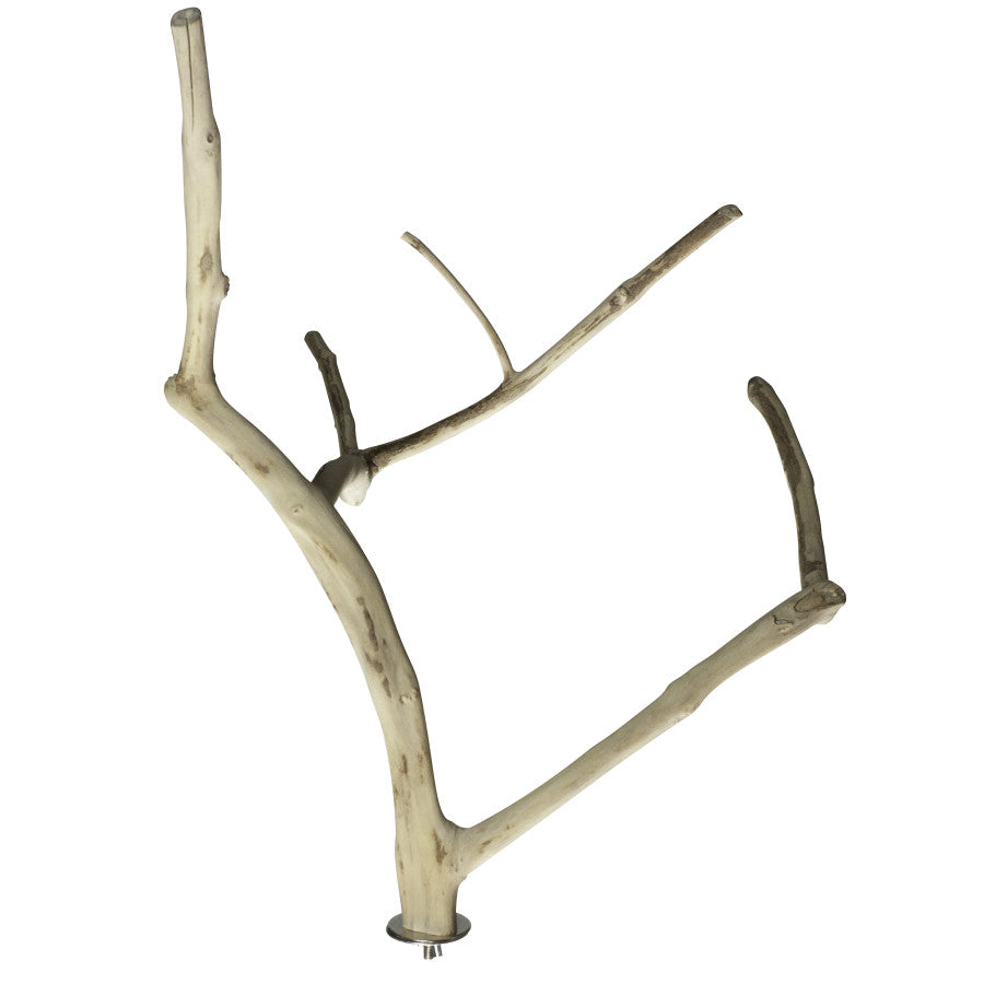 A&E Java Wood Multi Branch Bird Perch Medium