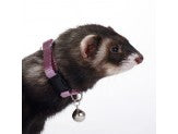 Marshall Pet Products Ferret Bell Collar Purple 3-8 in