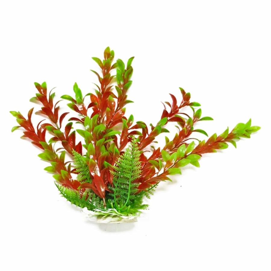 AquaTop Hygro Aquarium Plant Weighted Base Green/Red 6in