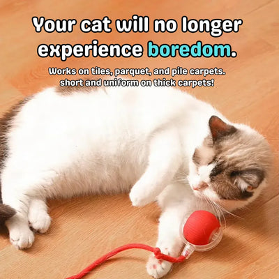 SmartChase™ Interactive Rolling Ball - Automatic Electric Toy with Faux Tail for Cats & Kittens