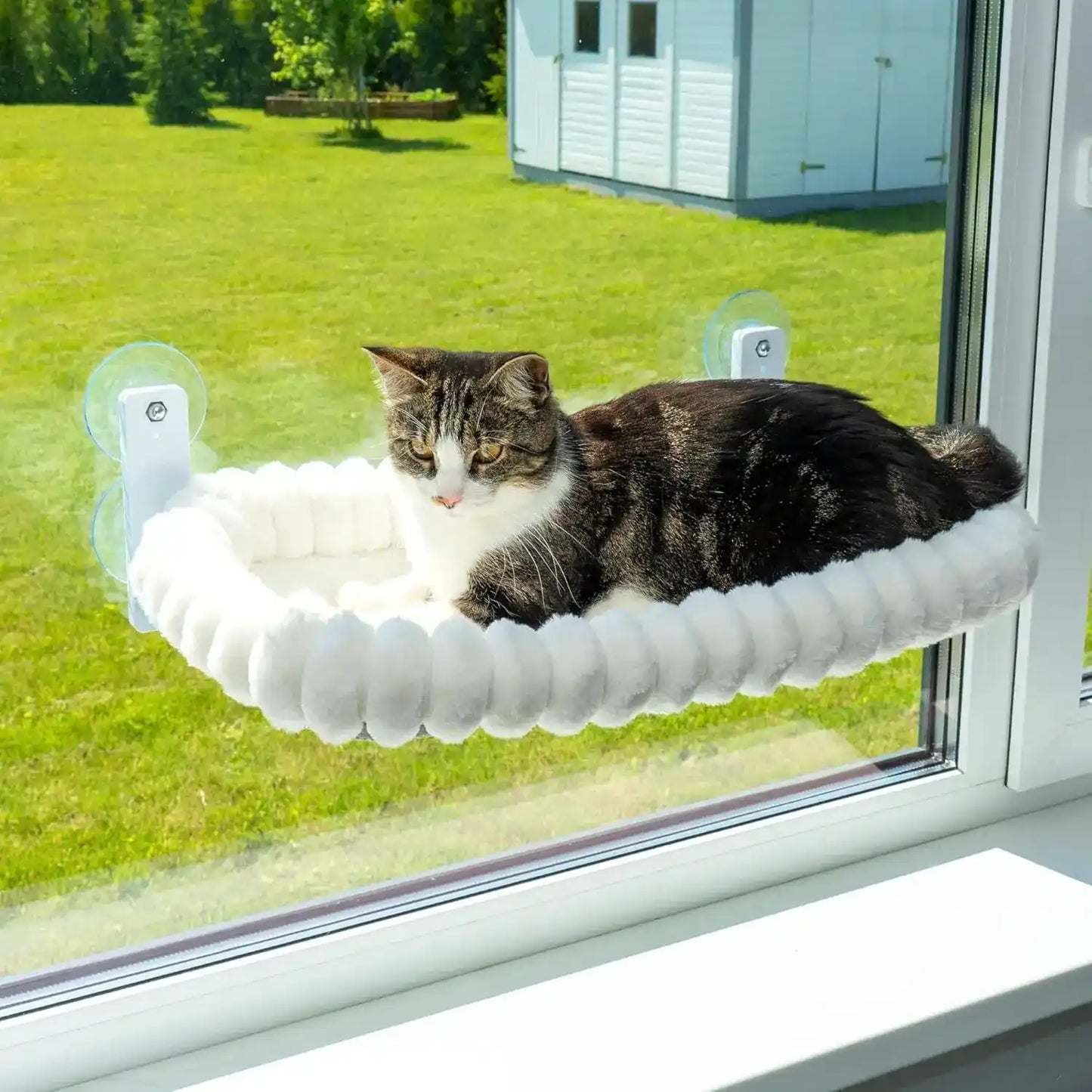 Cat lounging on a window-mounted pet hammock with a grassy yard and shed in the background.
