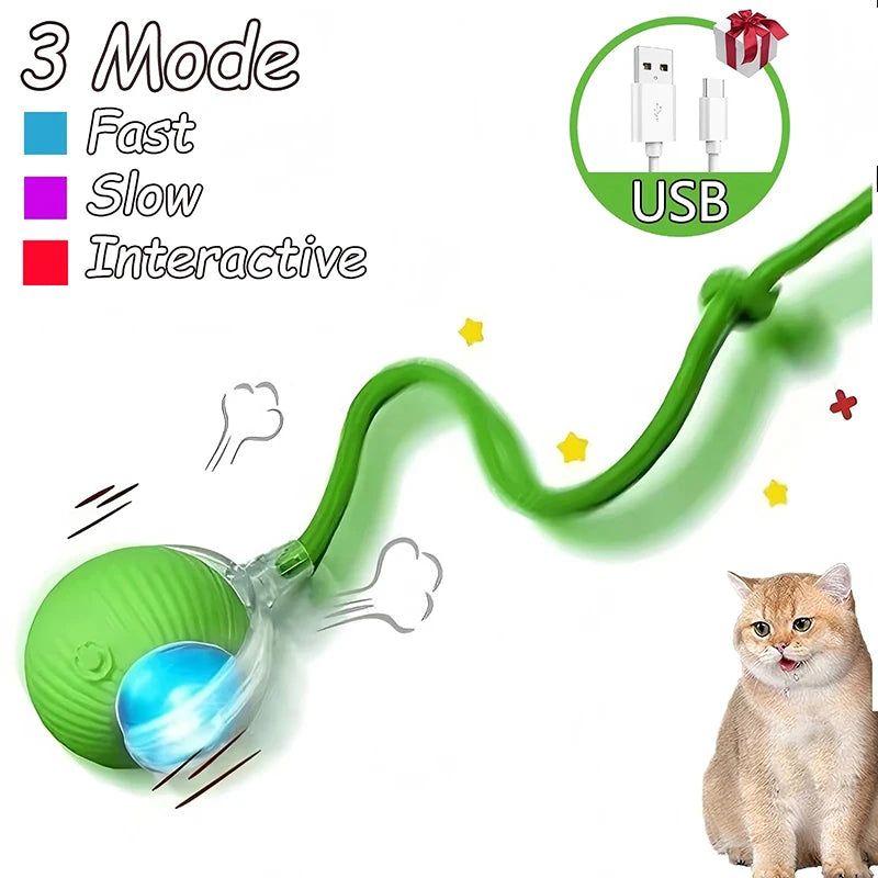Green cat toy with USB feature and modes, next to a cat on a white background