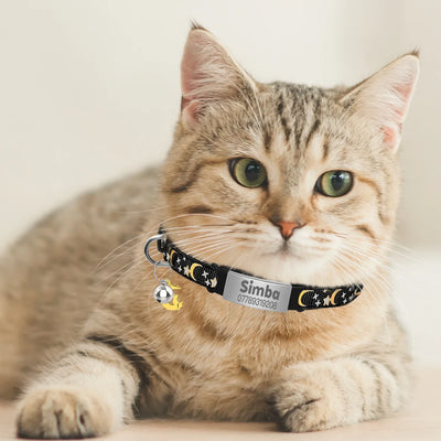 Working from Home with Pets: How to Set Boundaries and Keep Them Quiet During Zoom Calls