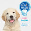 Nylabone Advanced Oral Care Puppy Dental Kit Original, 1ea/2.5 oz 3 ct