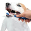 Nylabone Advanced Oral Care Puppy Dental Kit Original, 1ea/2.5 oz 3 ct