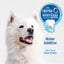 Nylabone Advanced Oral Care Water Additive for Dogs Original, 1ea/16 oz 1 ct