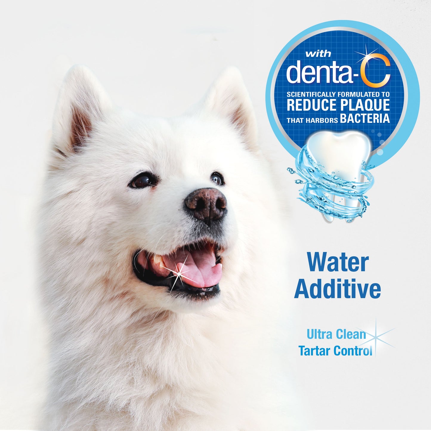 Nylabone Advanced Oral Care Water Additive for Dogs Original, 1ea/32 oz 1 ct