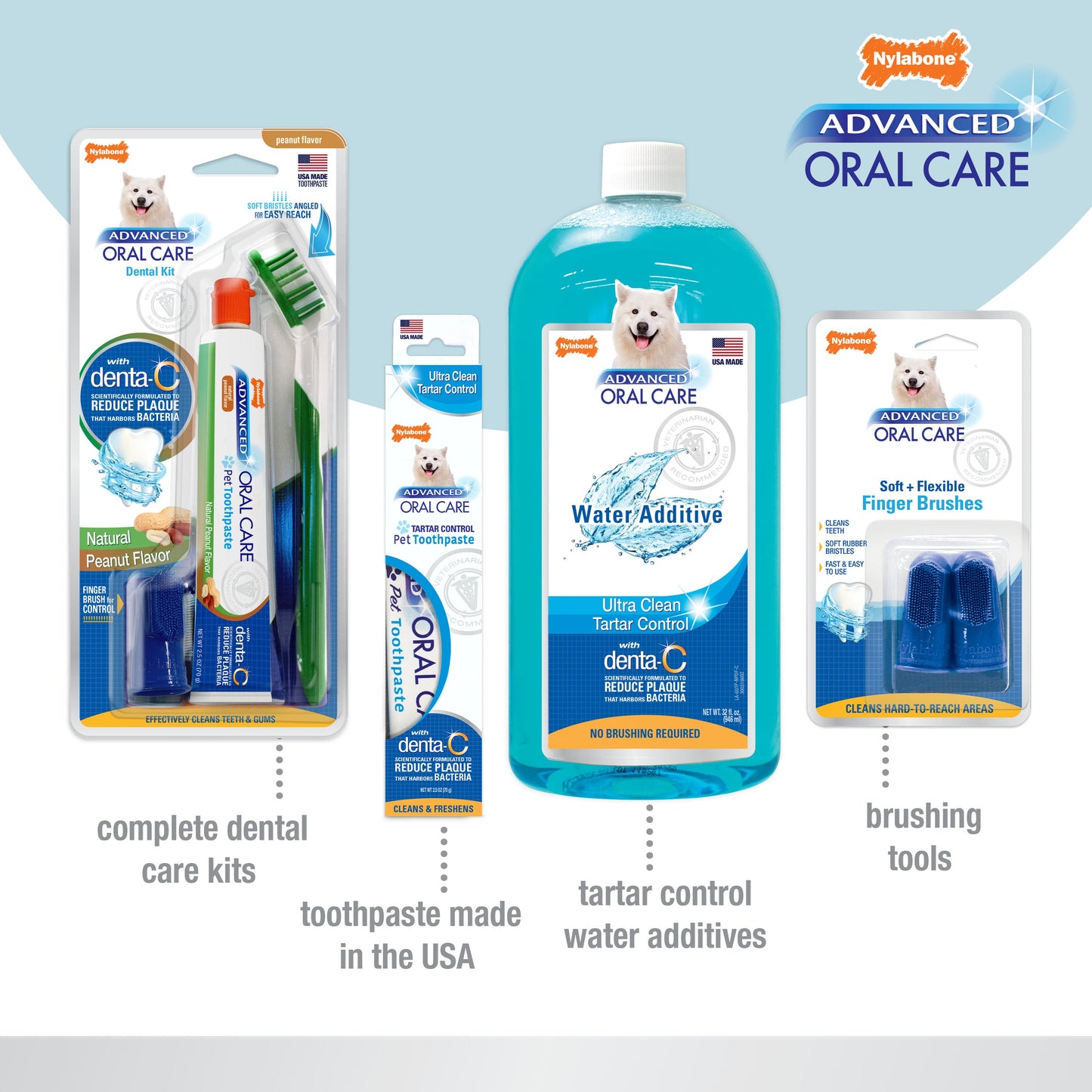 Nylabone Advanced Oral Care Dog Dental Kit Original, 1ea/2.5 oz 3 ct