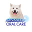Nylabone Advanced Oral Care Natural Toothpaste Peanut Flavor, 1ea/2.5 oz