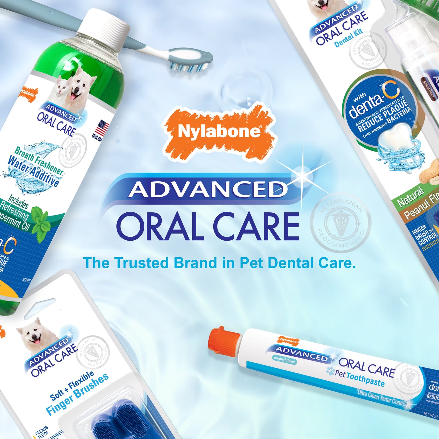 Nylabone Advanced Oral Care Cat Dental Kit Original, 1ea/2.5 oz 3 ct