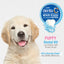 Nylabone Advanced Oral Care Puppy Dental Kit with Pillowy SoftBristle Toothbrush Peanut Butter, 1ea/2.5 oz 3 ct