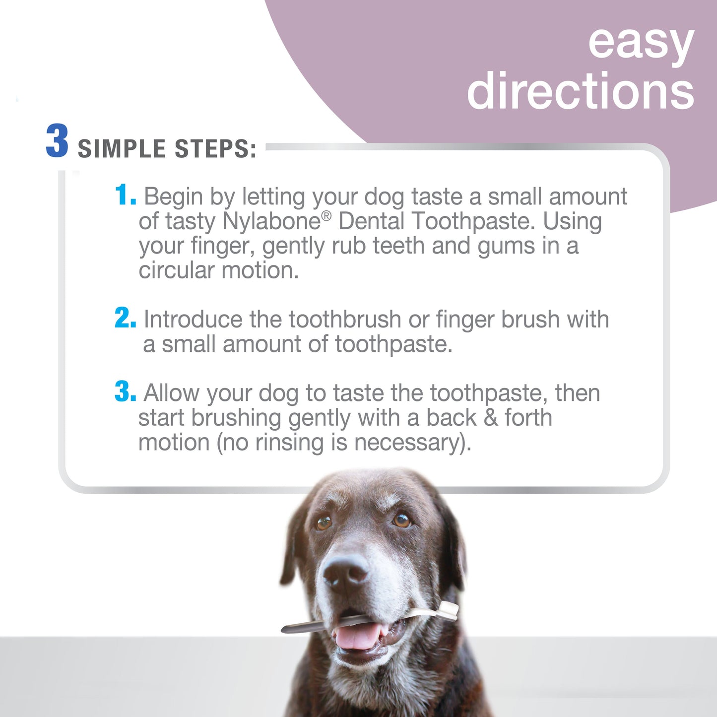 Nylabone Advanced Oral Care Senior Dog Dental Kit with Cushiony SoftBristle Toothbrush Bacon, 1ea/2.5 oz 3 ct