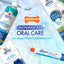 Nylabone Advanced Oral Care Senior Dog Dental Kit with Cushiony SoftBristle Toothbrush Bacon, 1ea/2.5 oz 3 ct
