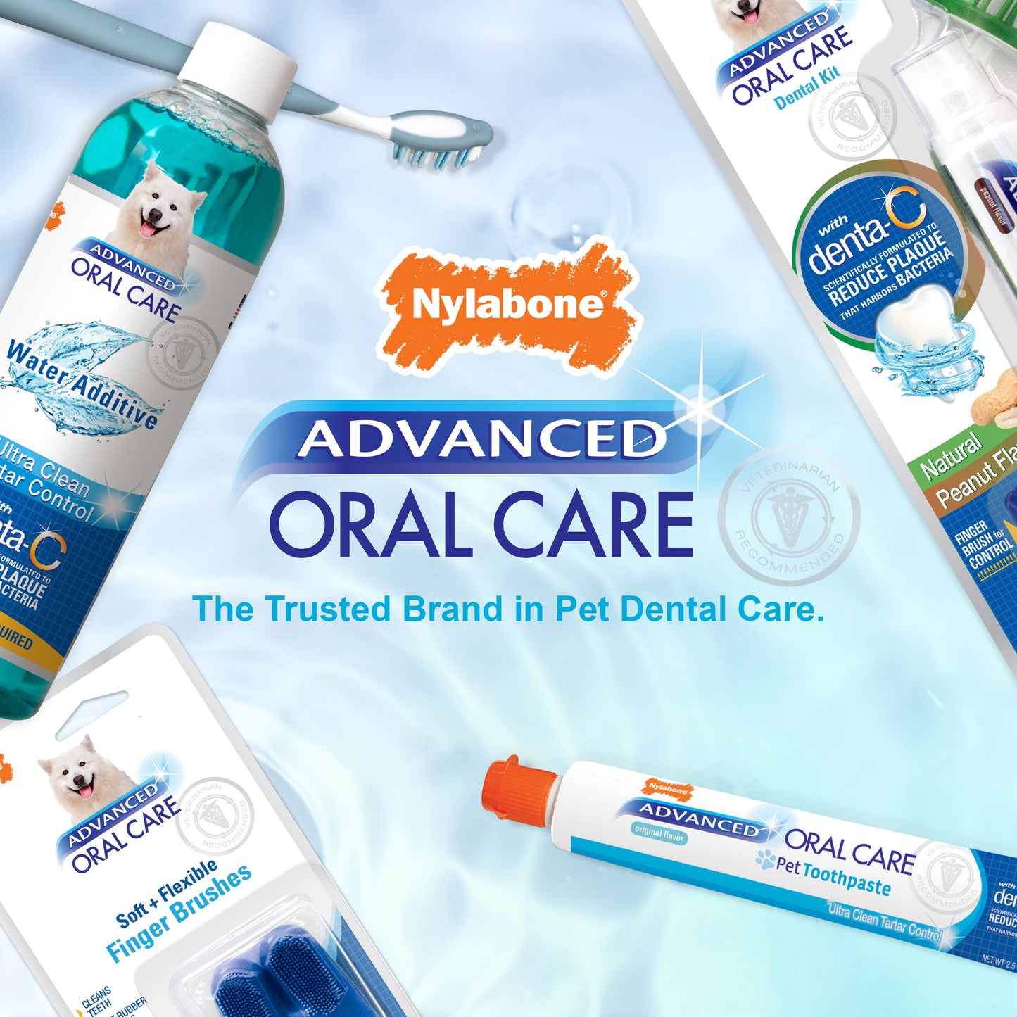 Nylabone Advanced Oral Care Senior Dog Dental Kit with Cushiony SoftBristle Toothbrush Bacon, 1ea/2.5 oz 3 ct