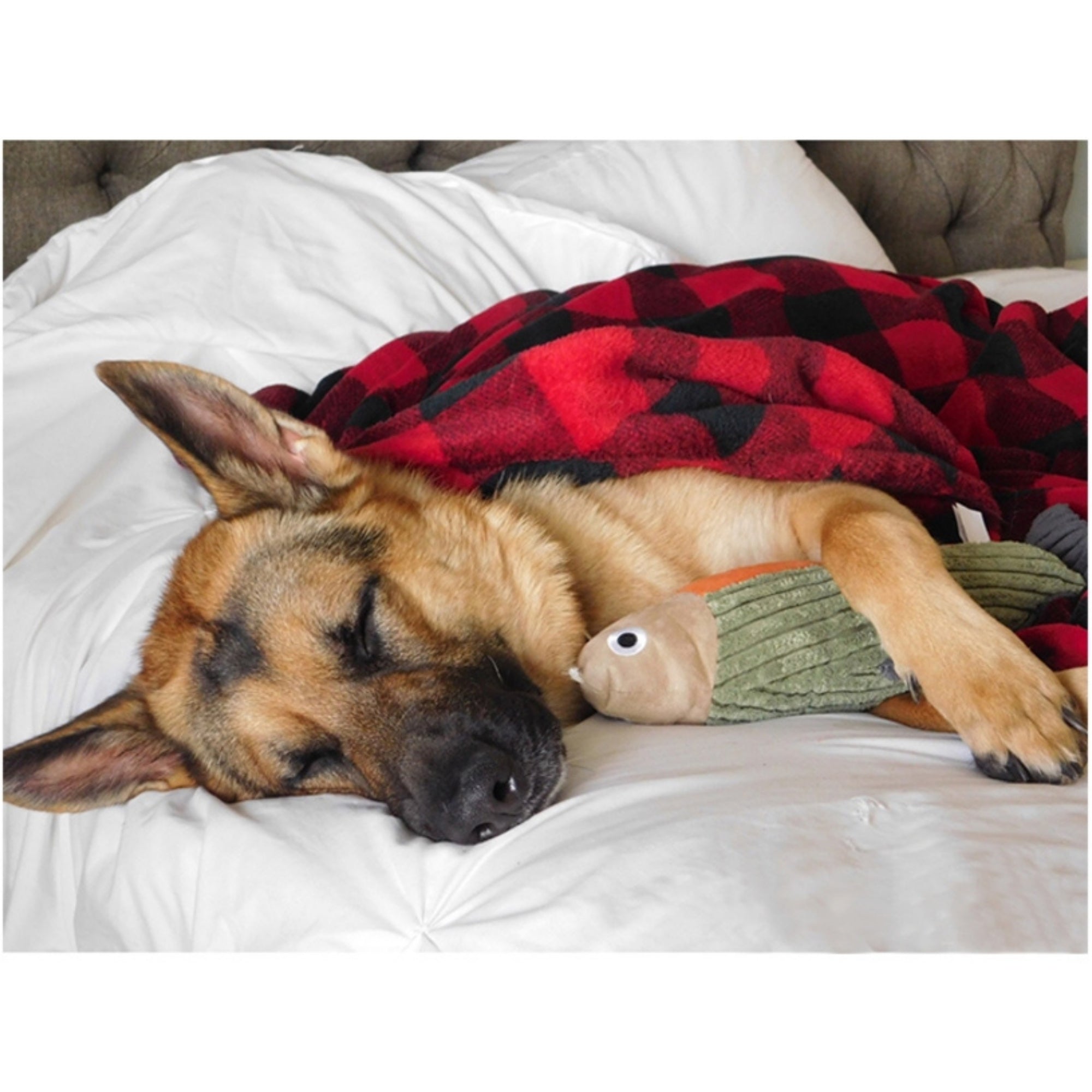 Tall Tails Dog Hunters Blanket 30 x 40
