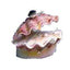 Penn-Plax Tropical Clam Air Aquarium Ornament White, Pink 1ea