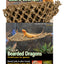 Penn-Plax Corner Lizard Lounger Climbing and Resting Mat Brown 15 In X 8 In, Small