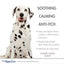 Four Paws Magic Coat Medicated Dog Shampoo Classic Clean, 1ea/16 oz 1 ct