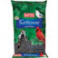 Kaytee Black Oil Sunflower 5 Pounds