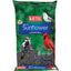 Kaytee Black Oil Sunflower 5 Pounds