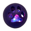 Spot Kitty LED Balls Cat Toy Assorted 2pk