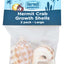 Fluker's Hermit Crab Growth Shells Assorted 1ea/2 pk, LG