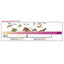 Zilla Rapid Sense Decor Medium Poplar Log 1ea/Medium