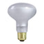 Zilla Incandescent Spot Bulb Day White, 1ea/100 W