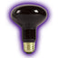 Zilla Incandescent Spot Bulb Night Black, 1ea/75 W