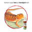 Zilla Calcium Supplement Spray 1ea/8 oz