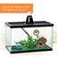 Zilla Reptile Terrarium Liner Green, 1ea/15/20H/30X gal