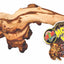 Zoo Med African Mopani Wood Brown, 1ea/SM