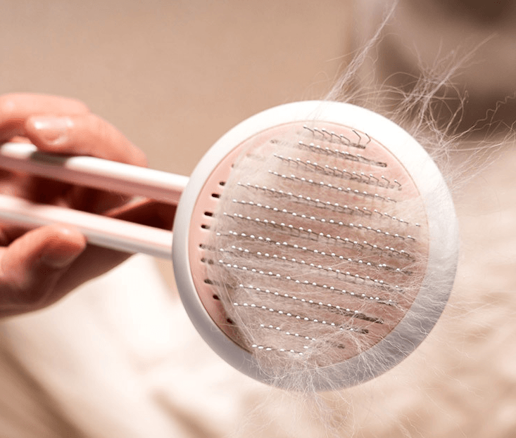 Pet Fur Buster: Automatic Hair Remover & Massage Brush For Cats And Dogs