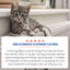 Adams Plus Flea & Tick Spot On for Cats & Kittens 1ea/Over 2.5 Lbs But Under 5 lb - All Pet Super Store