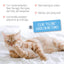 Adams Plus Flea & Tick Spot On for Cats & Kittens 1ea/Over 2.5 Lbs But Under 5 lb - All Pet Super Store