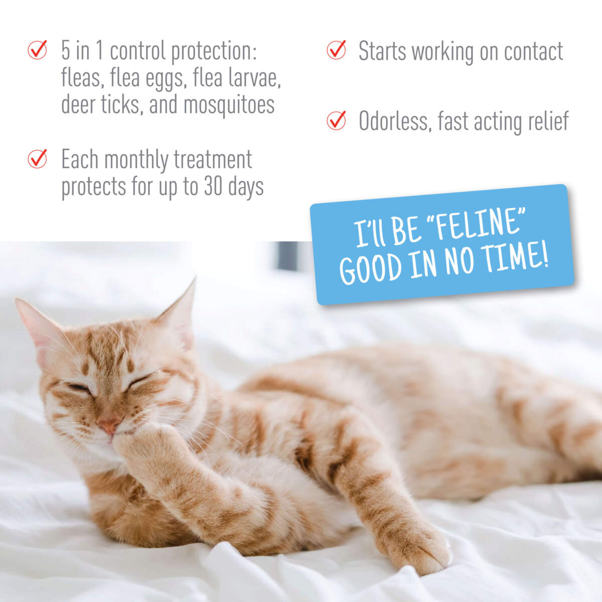 Adams Plus Flea & Tick Spot On for Cats & Kittens 1ea/Over 2.5 Lbs But Under 5 lb - All Pet Super Store