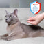 Adams Plus Flea & Tick Spot On for Cats & Kittens 1ea/Over 2.5 Lbs But Under 5 lb - All Pet Super Store