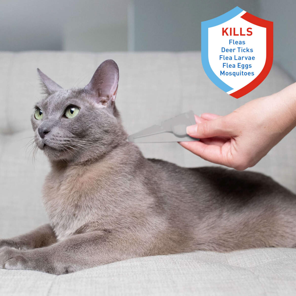Adams Plus Flea & Tick Spot On for Cats & Kittens 1ea/Over 2.5 Lbs But Under 5 lb - All Pet Super Store