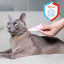Adams Plus Flea  Tick Spot On for Cats 1ea/Over 5 lb