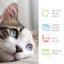 Adams Plus Flea & Tick Spot On for Cats & Kittens 1ea/Over 2.5 Lbs But Under 5 lb - All Pet Super Store