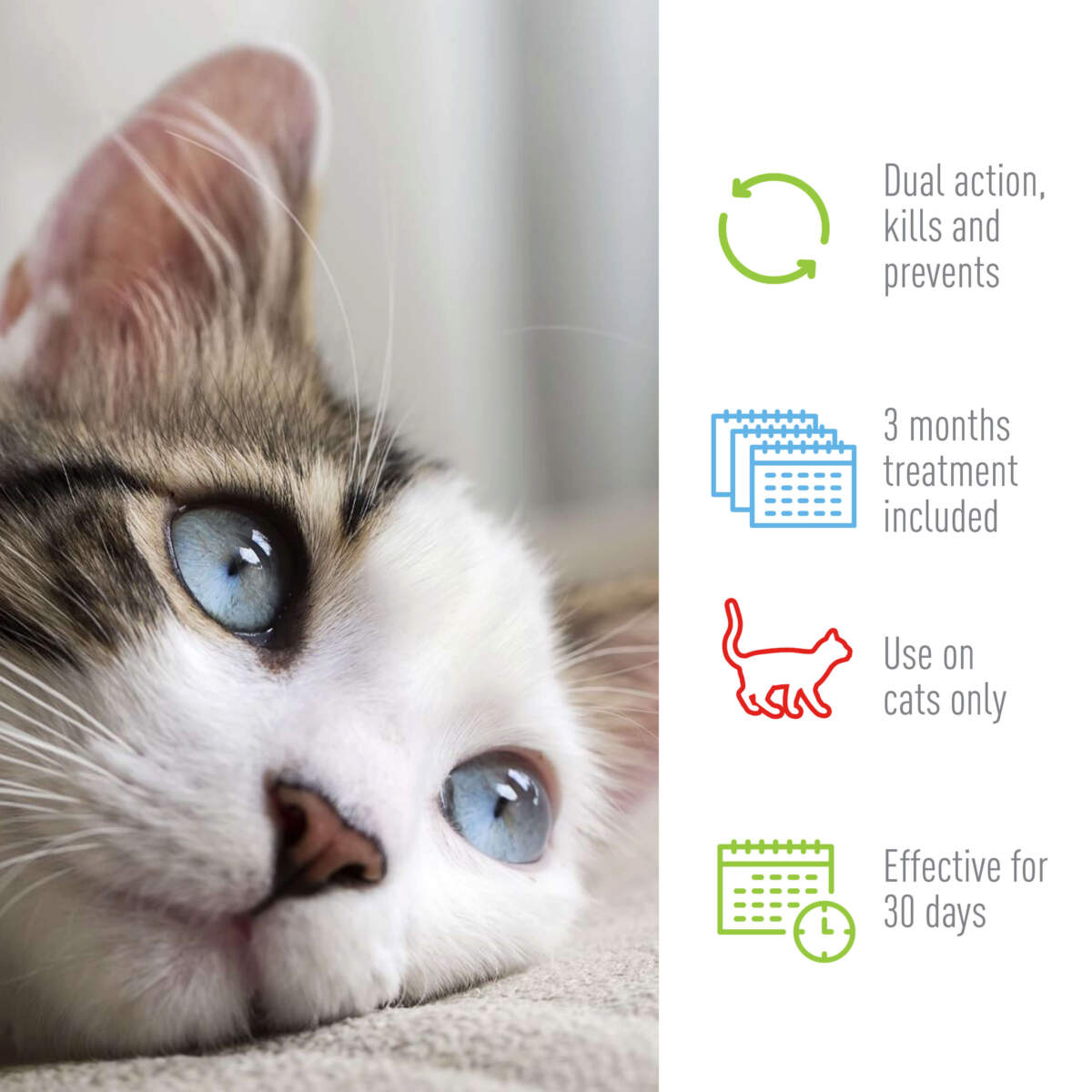 Adams Plus Flea & Tick Spot On for Cats & Kittens 1ea/Over 2.5 Lbs But Under 5 lb - All Pet Super Store