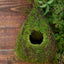 Galapagos Raindrop Deco Birdhouse Fresh Green 1ea/6Inx10 in