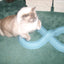 Bergan Turbo Track Cat Toy Slate Blue, 1ea/1 pk