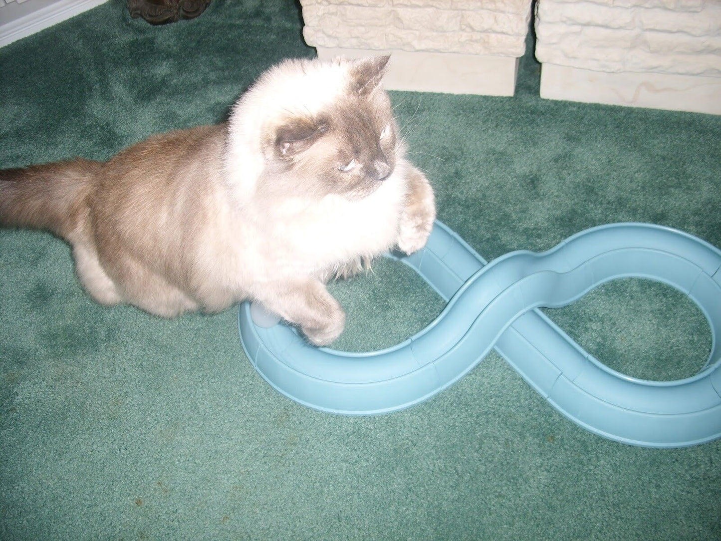 Bergan Turbo Track Cat Toy Slate Blue, 1ea/1 pk